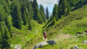 Aletsch Halbmarathon 2025