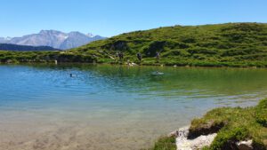 Aletsch Halbmarathon 2025
